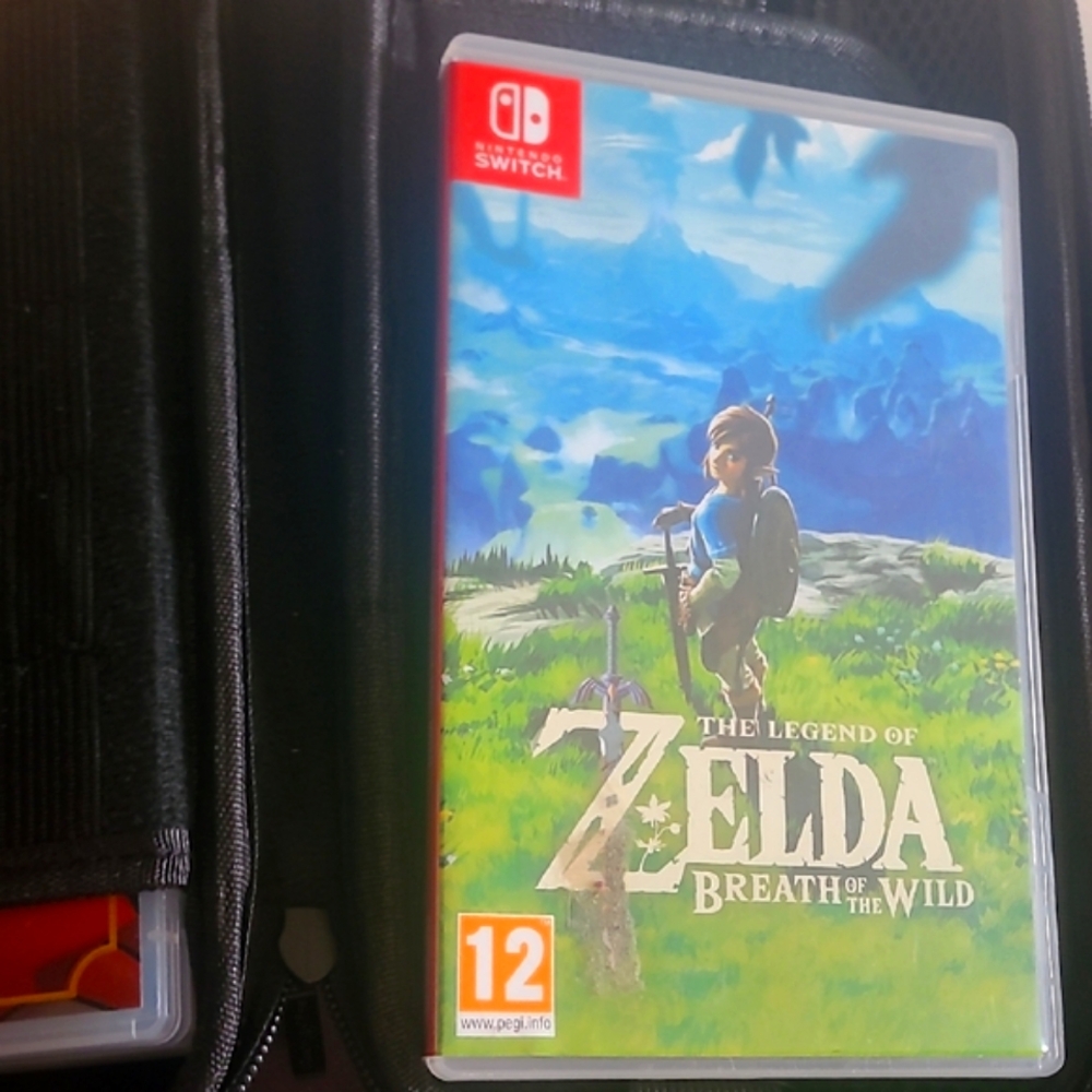 Nintendo The Legend of Zelda: Breath of the Wild - Blue and Green Cover